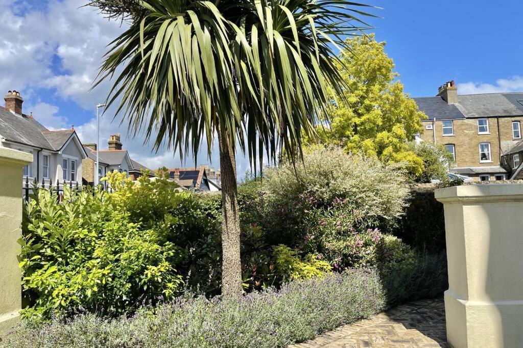 Lavender - Spacious Close To The Deal